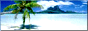 Banner Soft&Crack